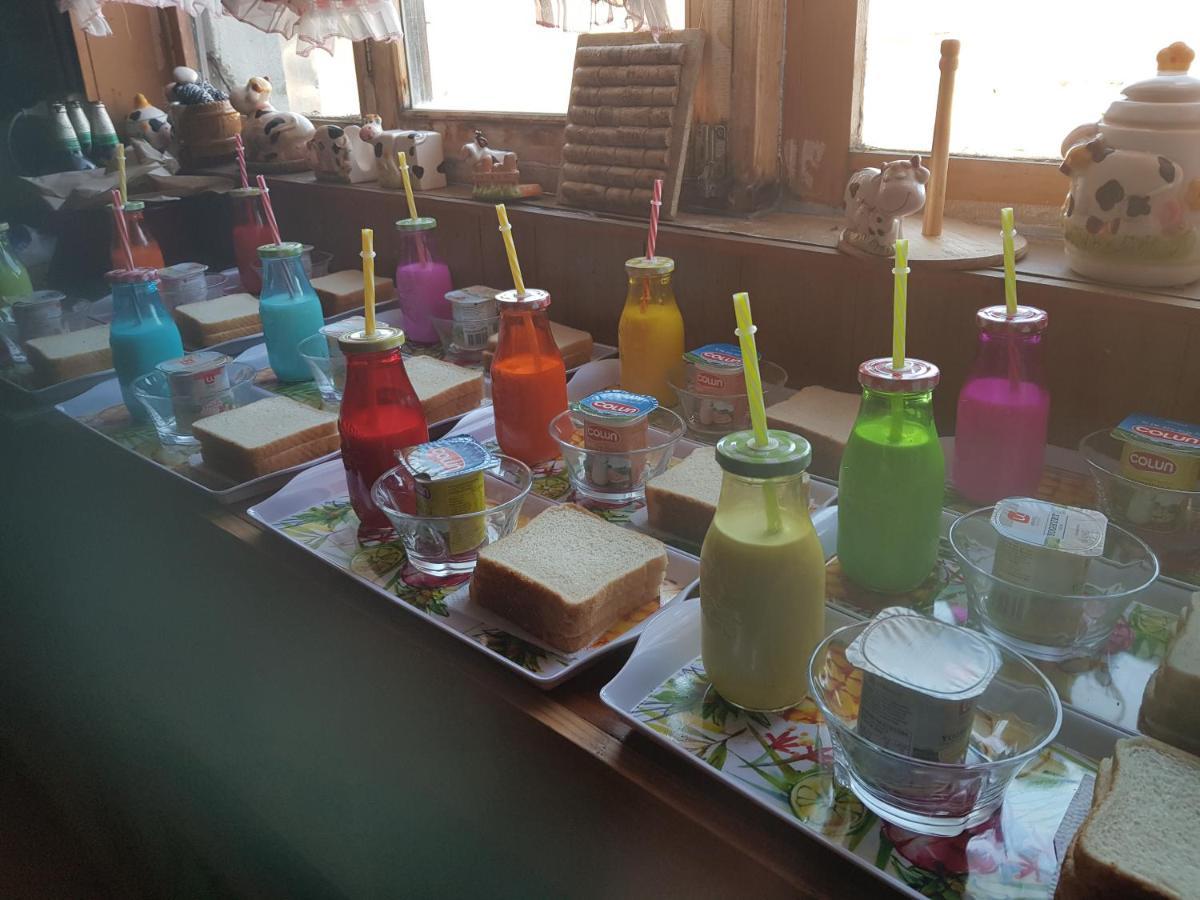 بونتا أريناس Hostal La Morenita المظهر الخارجي الصورة