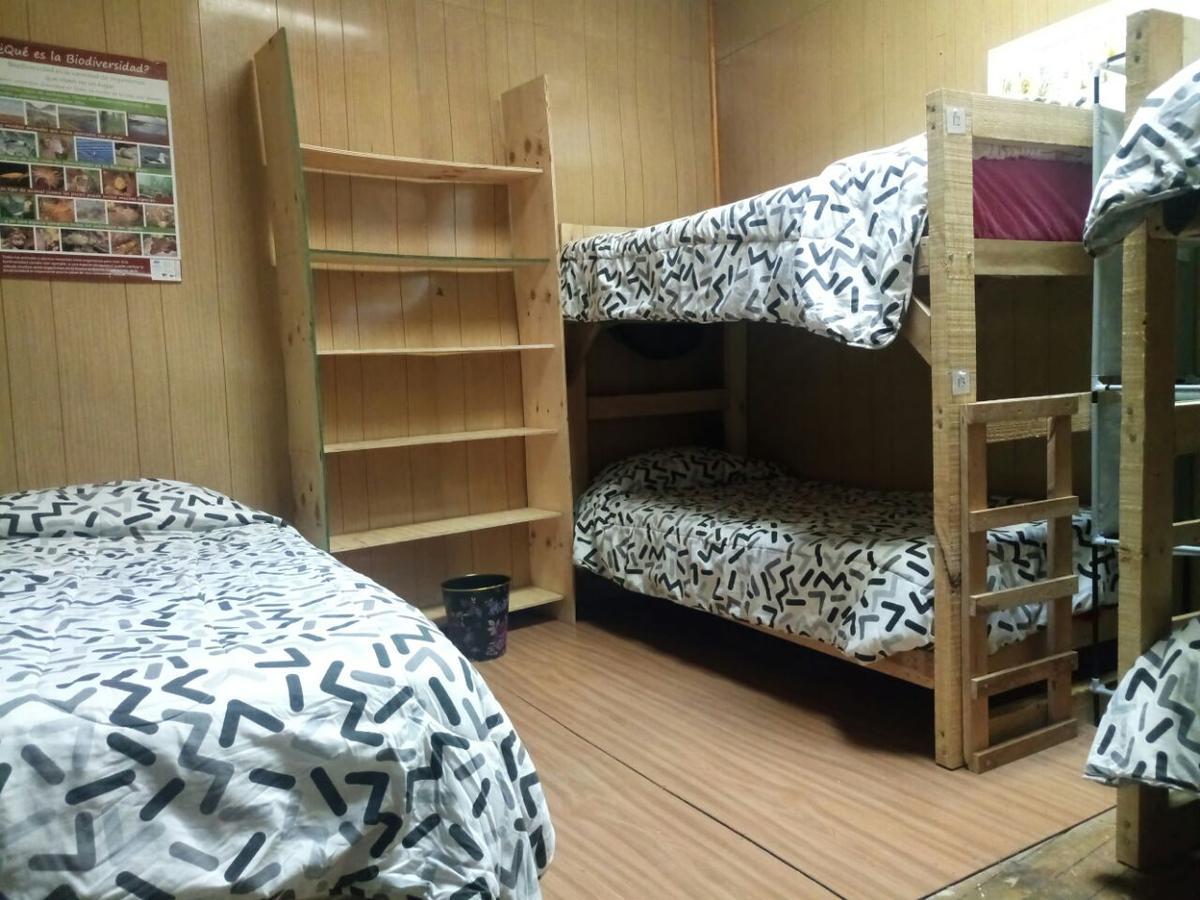 بونتا أريناس Hostal La Morenita المظهر الخارجي الصورة